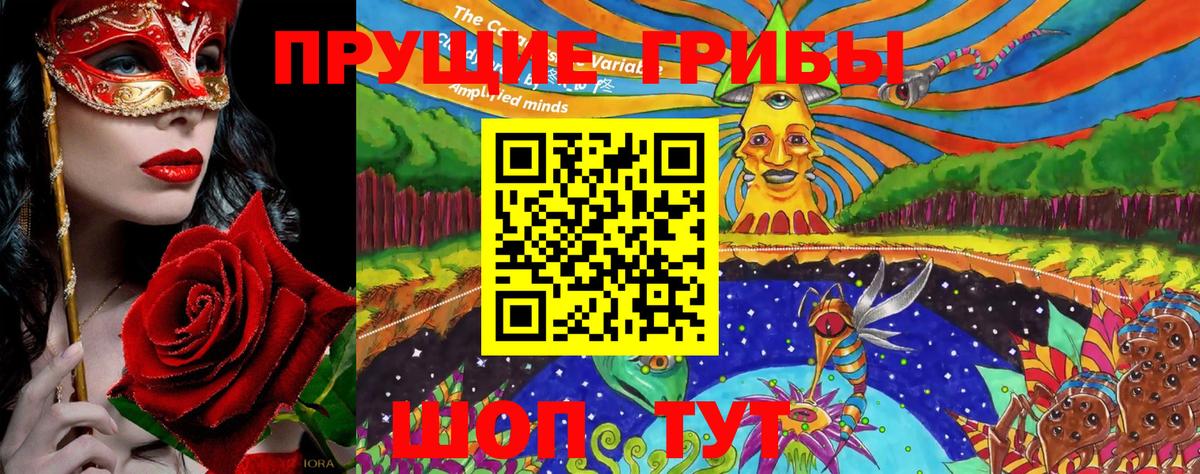 Галлюциногенные грибы Cubensis Кондопога