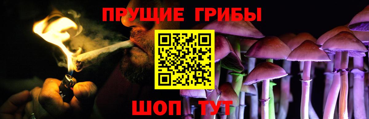 Галлюциногенные грибы Cubensis  Псилоцибиновые грибы ЛСД  Кондопога  Вход с VPN 